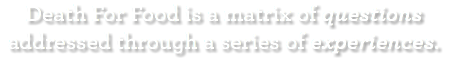 Death For Food is a matrix of questions addressed through a series of experiences.